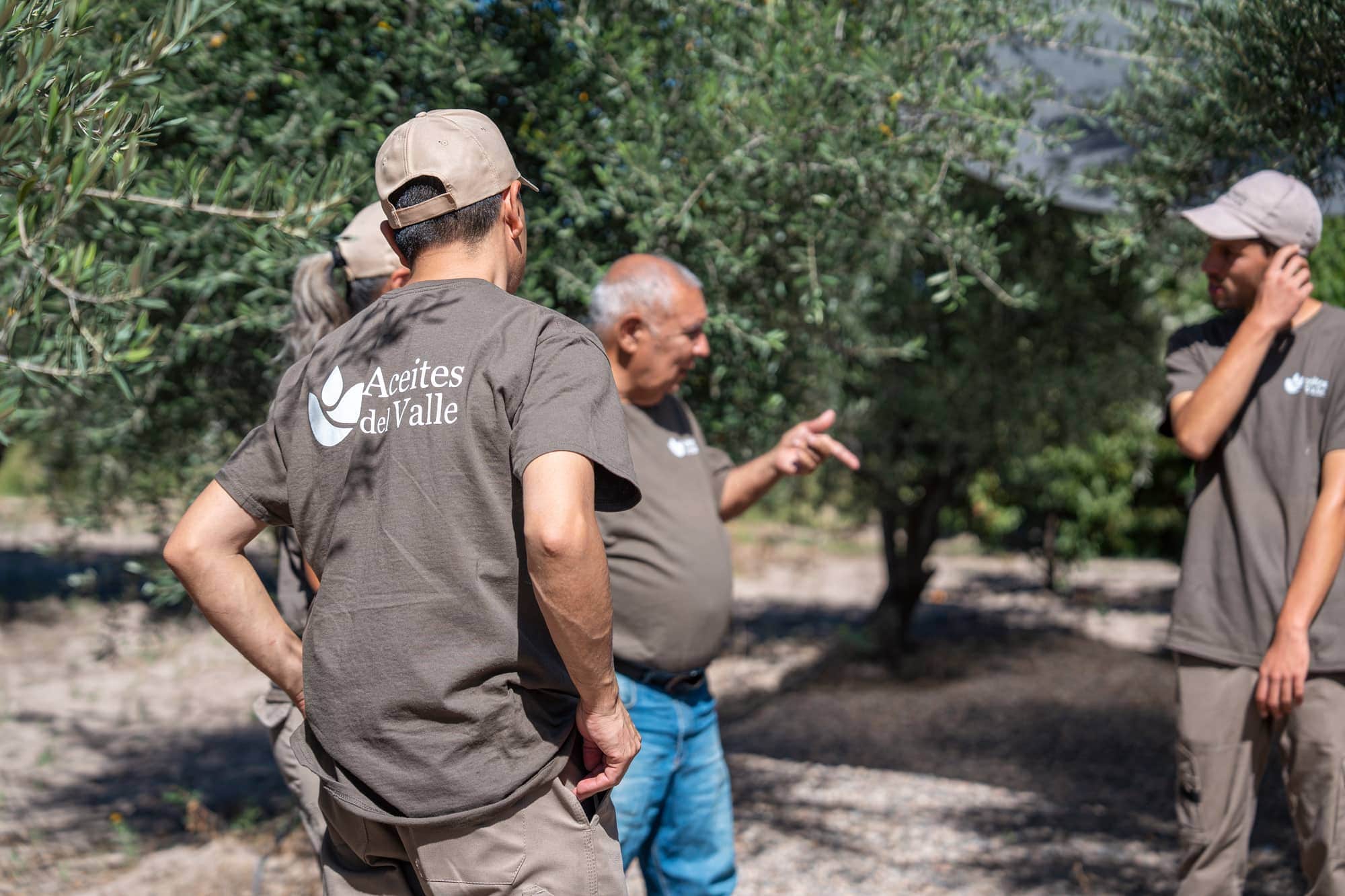 Equipe comercial e técnica da Aceites del Valle conversando em um olival