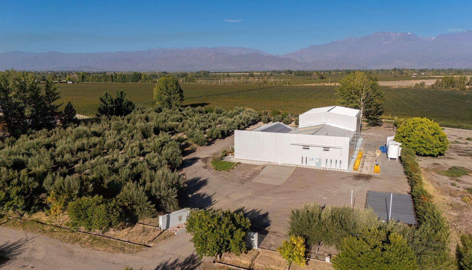 Vista aérea da planta de produção da Aceites del Valle em Mendoza, cercada por olivais, com a cordilheira dos Andes ao fundo